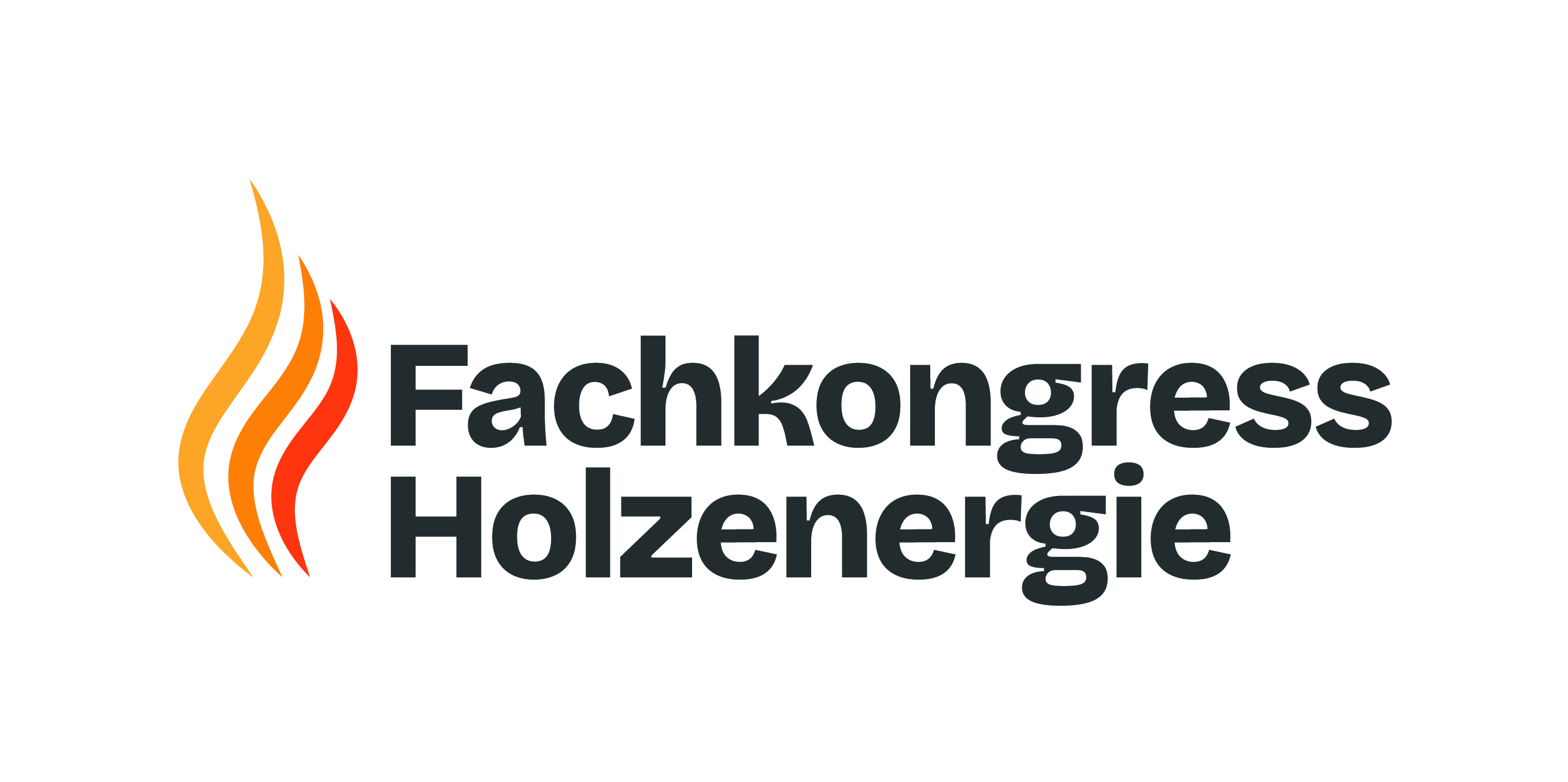 Logo Fachkongress Holzenergie