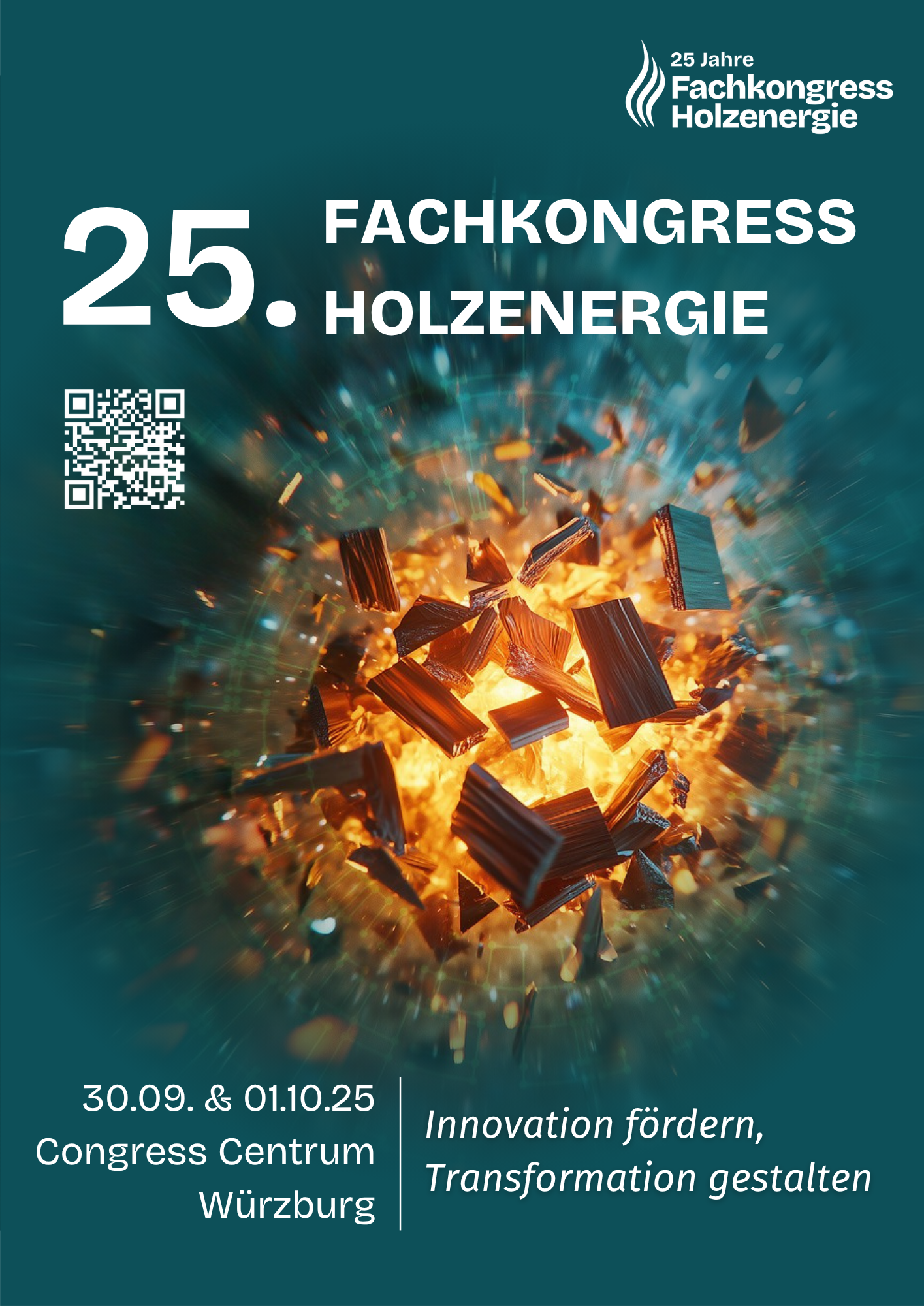 Flyer PDF 25. Fachkongress Holzenergie